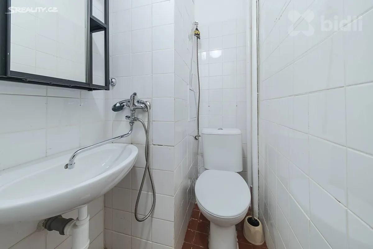 Prodej bytu 1+kk 17 m² – další