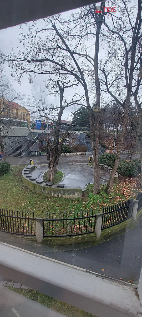 Fotka 7 z 14
