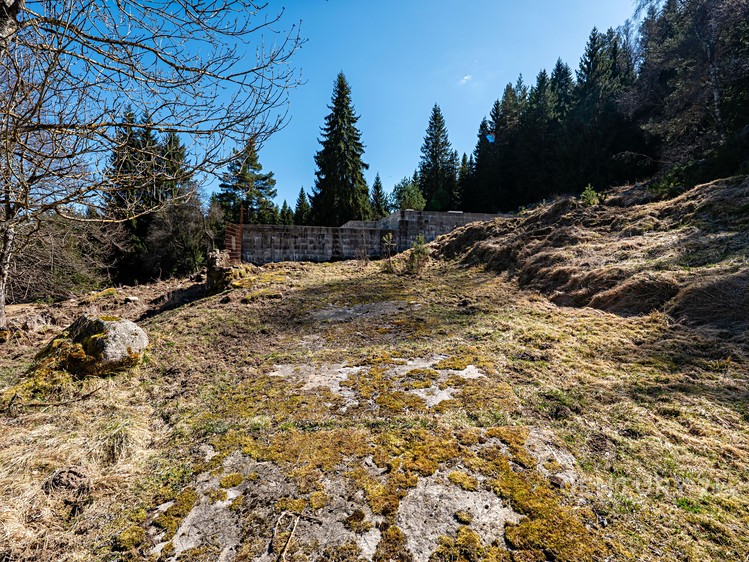 Grundstück zum Kauf, 10.137 m² (10 von 32)