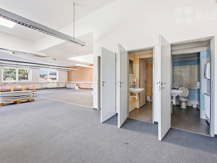 Pronájem komerčního prostoru, 695 m² (4 z 13)