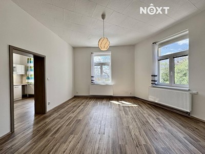 Pronájem bytu 1+1 55 m²