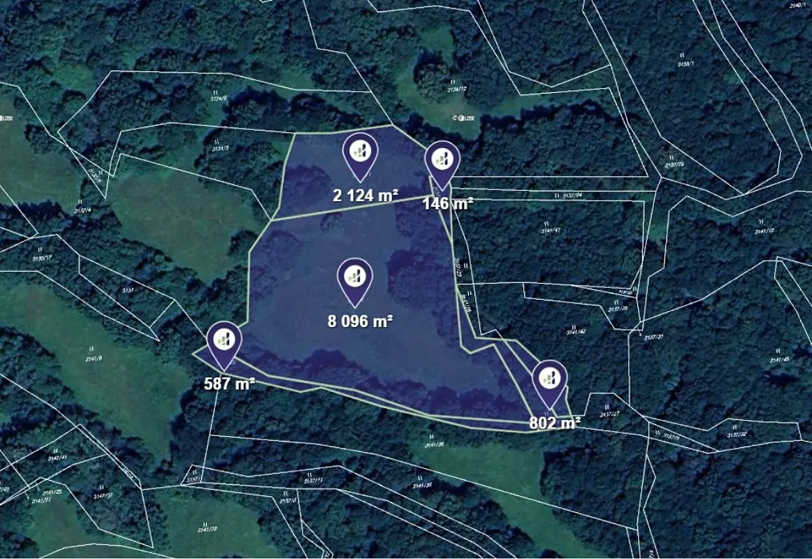 Prodej podílu 1/4 louky 2939 m²