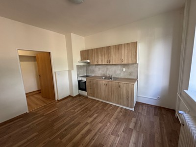 Prodej bytu 1+1 55 m²