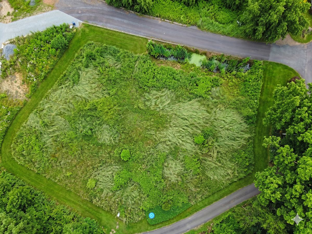 Prodej stavebního pozemku 1347 m² – fotografie 4