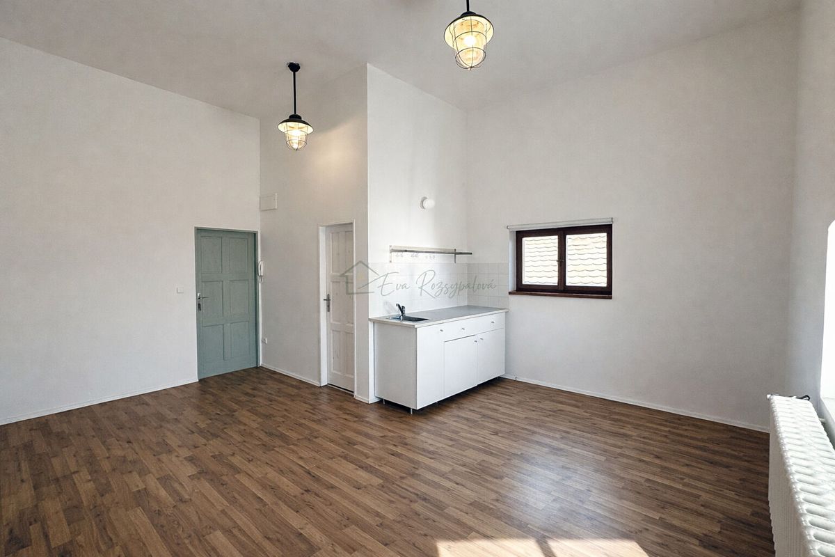 Pronájem bytu 1+kk 25 m²