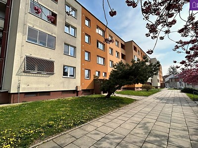Pronájem bytu 4+1 79 m²