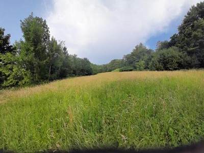Pronájem pozemku, 510 m² (2 z 6)