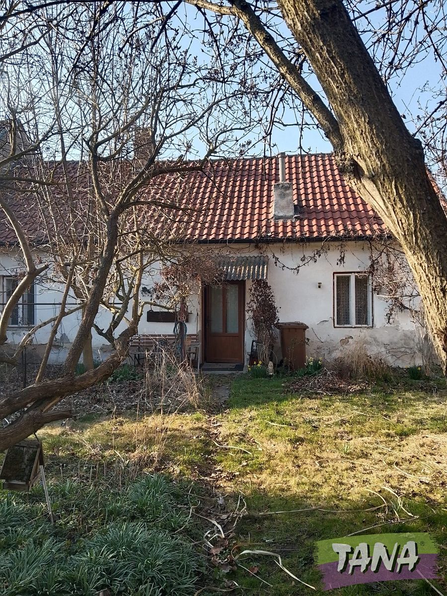 Prodej rodinného domu 145 m², pozemek 3028 m² – fotografie 4