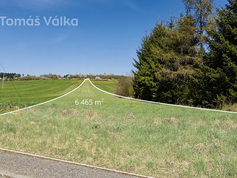 Prodej pole 6465 m², Věšín – náhled fotky 2
