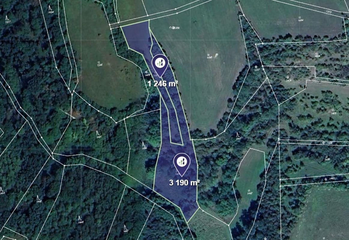 Prodej lesa 4436 m², Vysoká – fotka 1 z 3