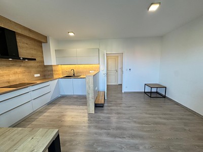 Pronájem bytu 2+kk 52 m²