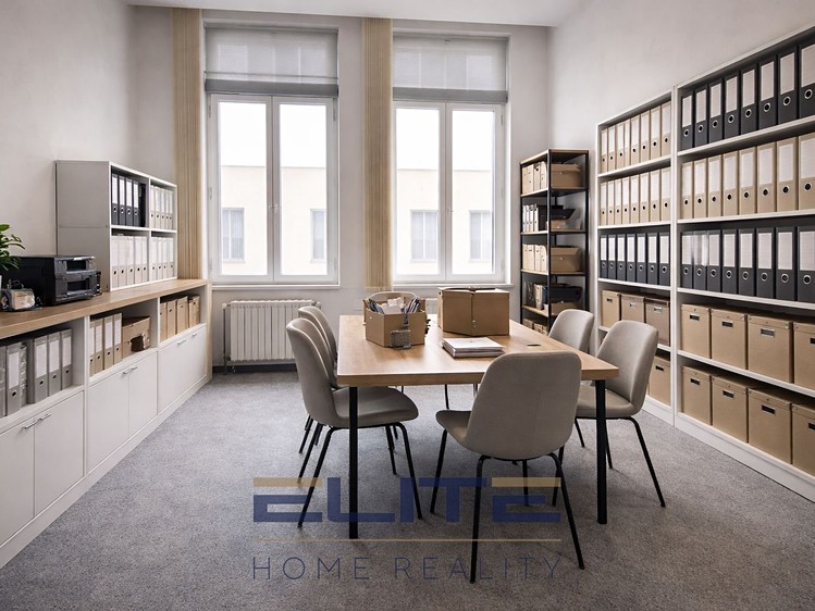 Pronájem komerčního prostoru, 775 m² (23 z 37)