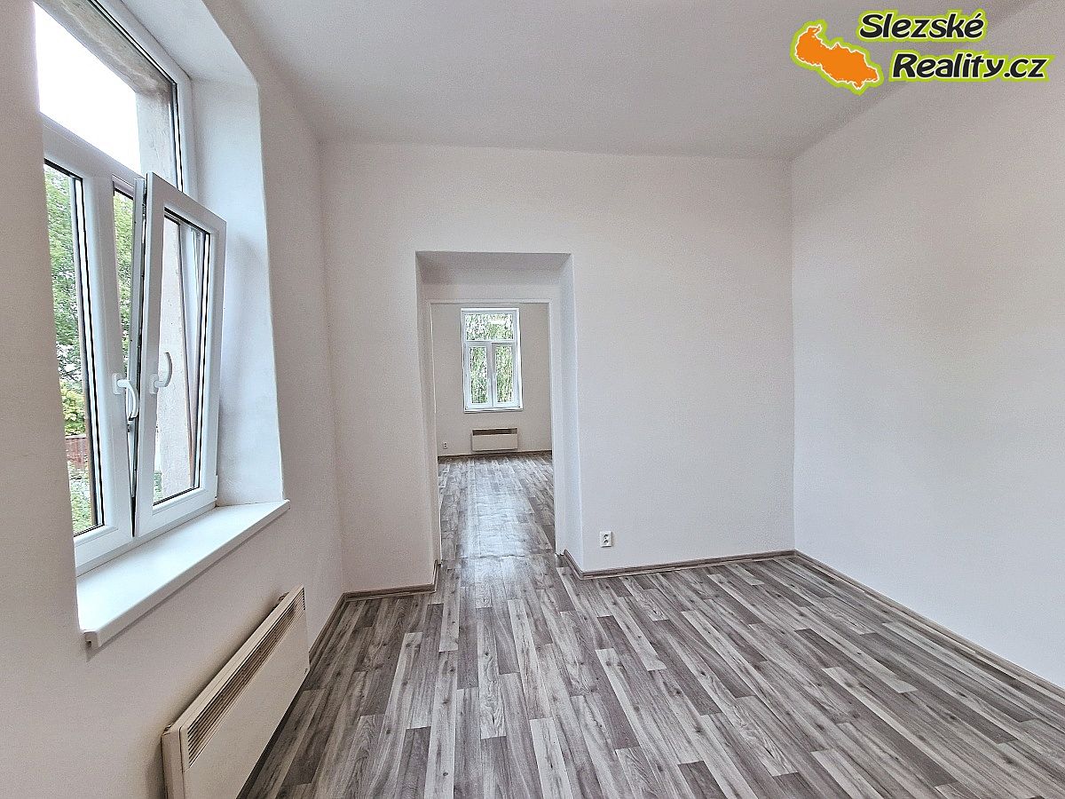 Pronájem bytu 1+1 39 m²