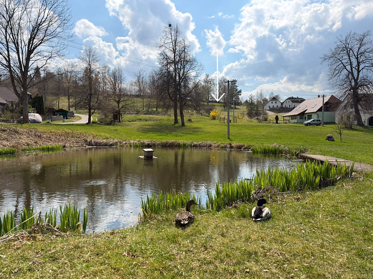Prodej stavebního pozemku 6498 m² – fotografie 3