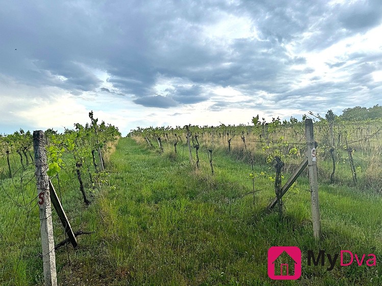 Prodej pozemku, 7 500 m² (1 z 4)