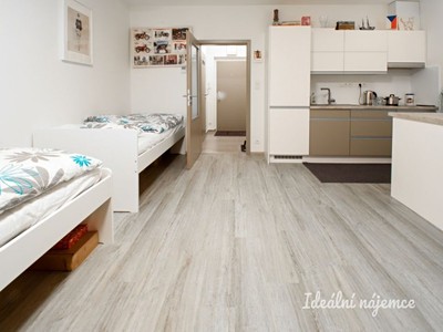 Pronájem bytu 1+kk 35 m²