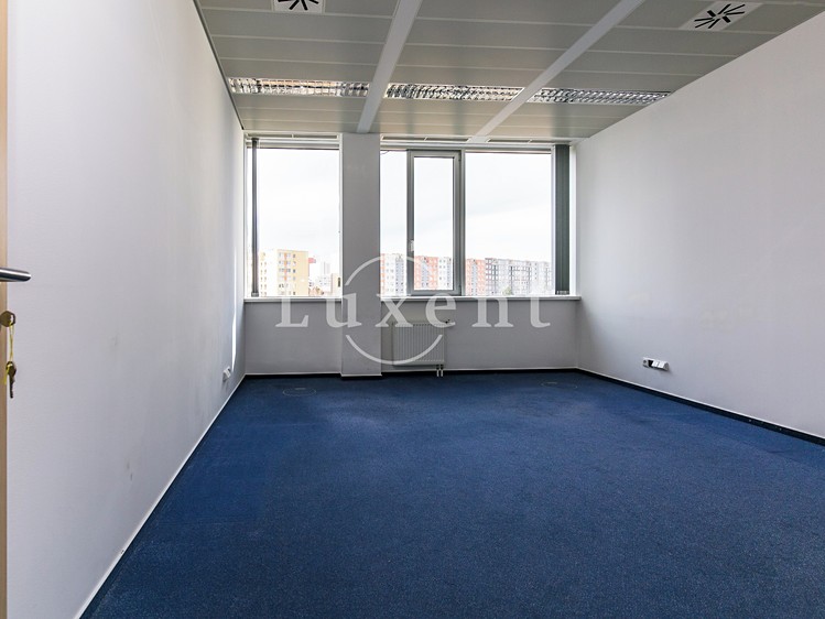 Pronájem komerčního prostoru, 393 m² (4 z 23)