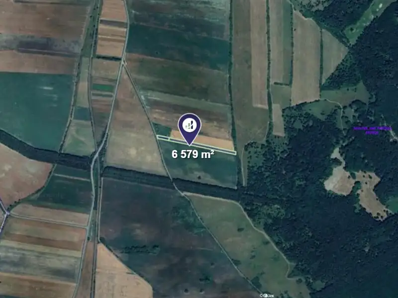 Prodej pole 6579 m², Javorník – náhled fotky 2