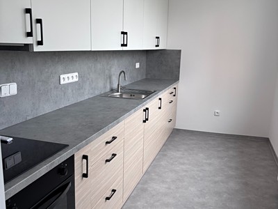 Pronájem bytu 3+1 69 m² (Jednopodlažní)