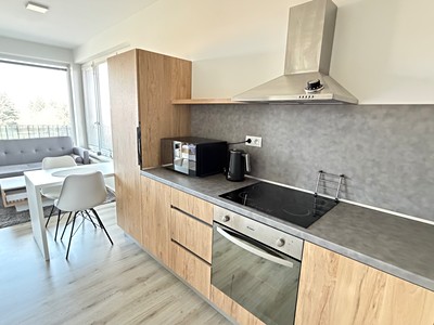 Pronájem bytu 1+kk 36 m²