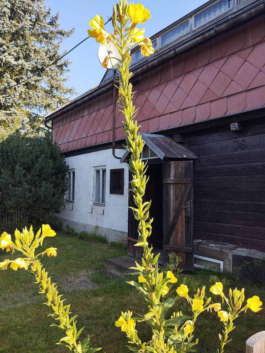 Prodej chalupy 150 m², pozemek 1350 m² – fotografie 2