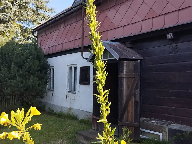 Prodej chalupy 150 m², pozemek 1350 m², Velký Šenov – náhled fotky 2