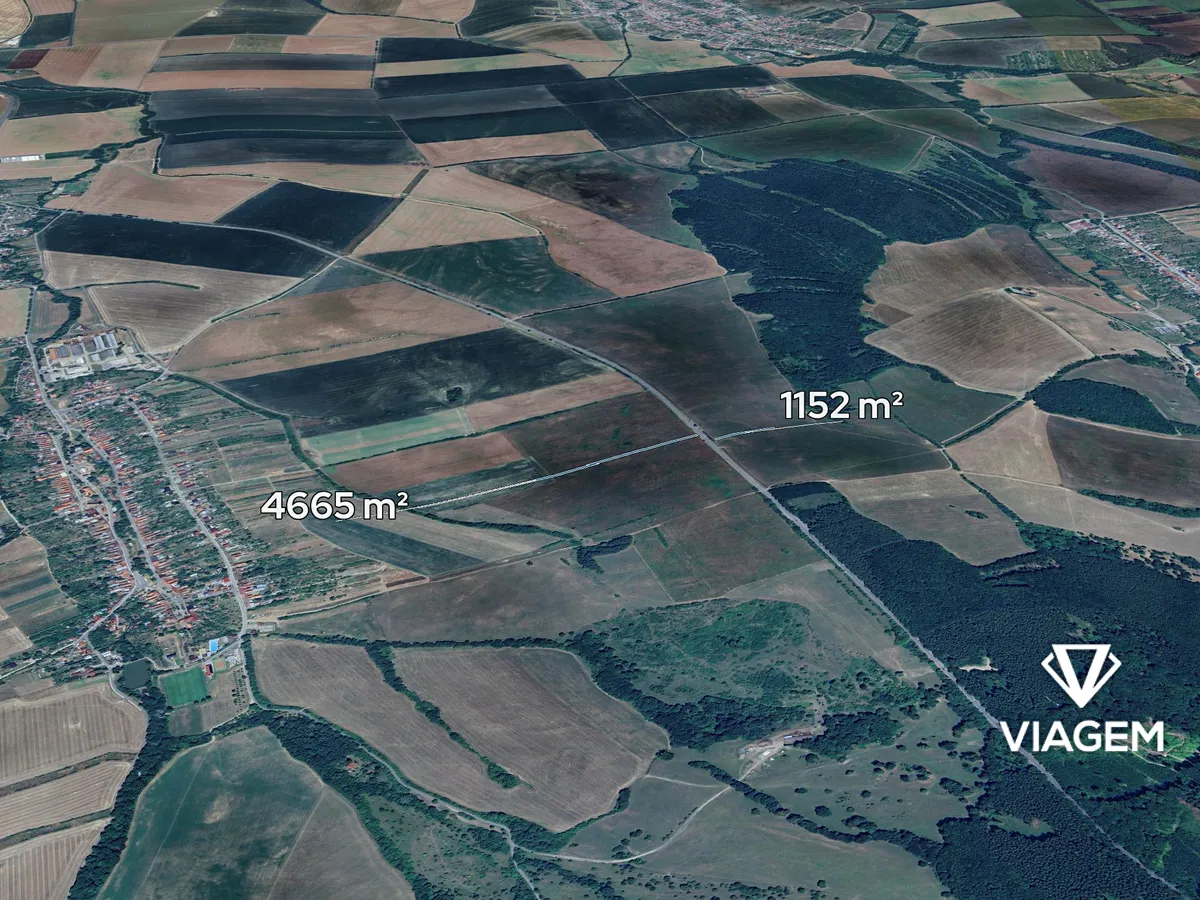 Prodej podílu 1/12 pole 484 m²