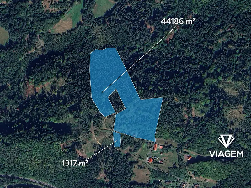 Prodej lesa 45503 m², Prostřední Bečva – náhled fotky 2