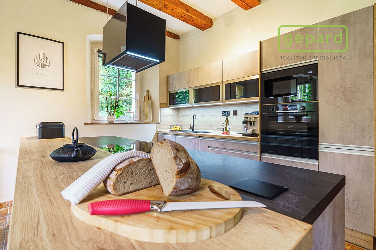 Prodej rodinného domu 295 m², pozemek 9233 m² – fotografie 2