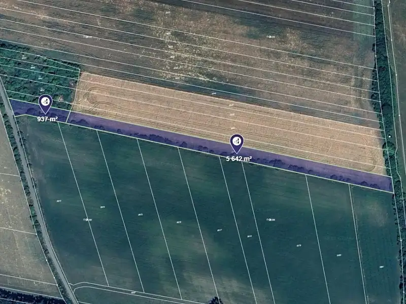 Prodej pole 6579 m², Javorník – náhled fotky 1