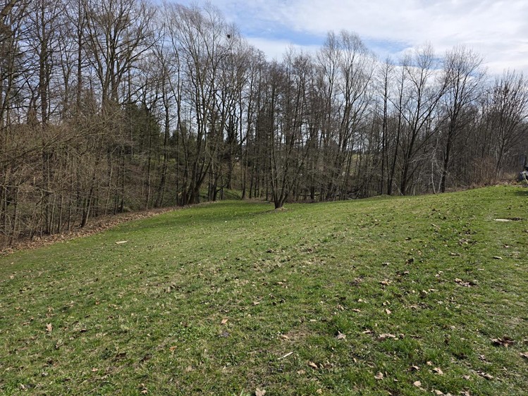 Grundstück zum Kauf, 2.561 m² (7 von 9)