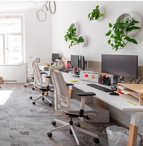 Pronájem obchodního prostoru 503 m²