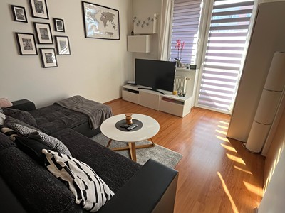 Wohnung 2+kk zur Miete, 45 m² (2 von 8)
