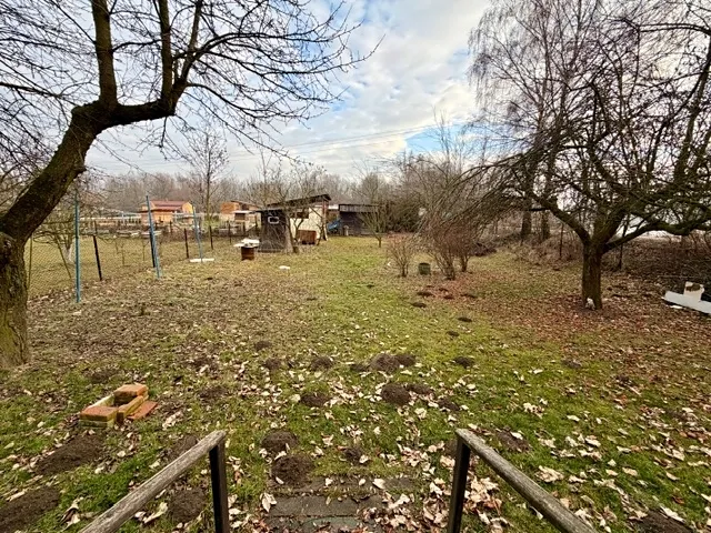 Fotka 9 z 11