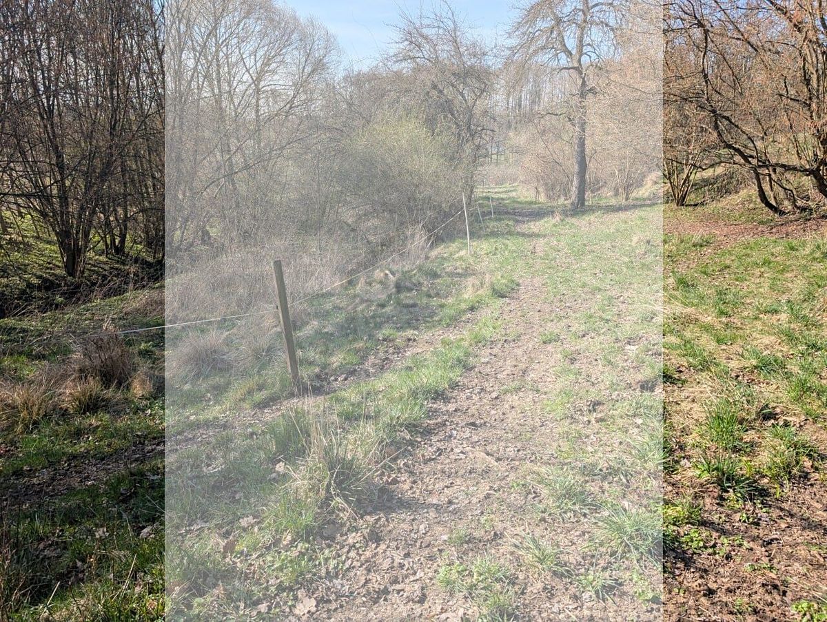 Prodej stavebního pozemku 1747 m², Počaply – fotka 1 z 3