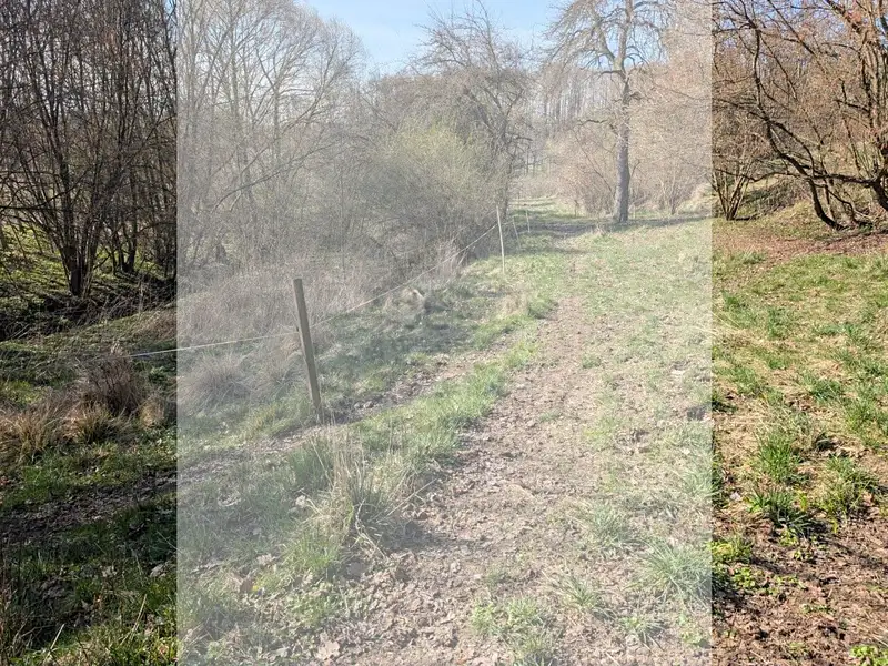Prodej stavebního pozemku 1747 m², Počaply – náhled fotky 1