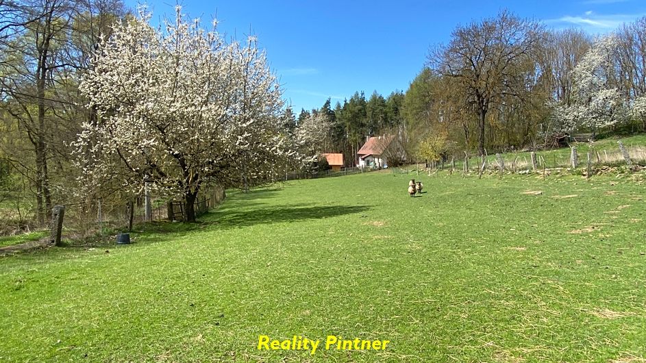 Prodej zemědělské usedlosti 100 m², pozemek 4636 m² – fotografie 5