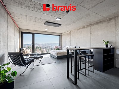 Pronájem bytu 1+kk 28 m²