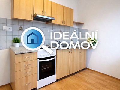 Pronájem bytu 1+kk 30 m² (Jednopodlažní)