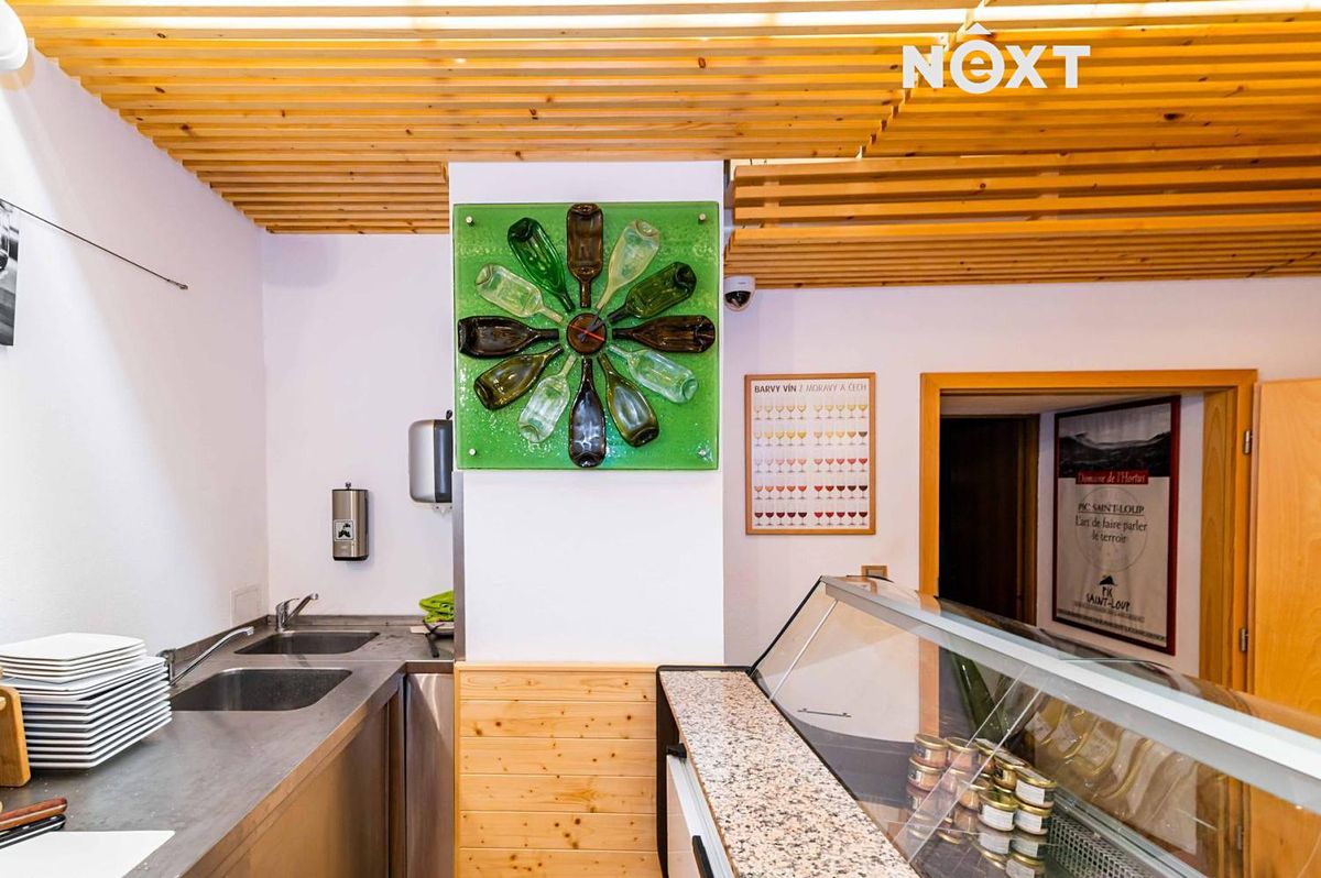 Prodej obchodního prostoru 538 m² – fotografie 4