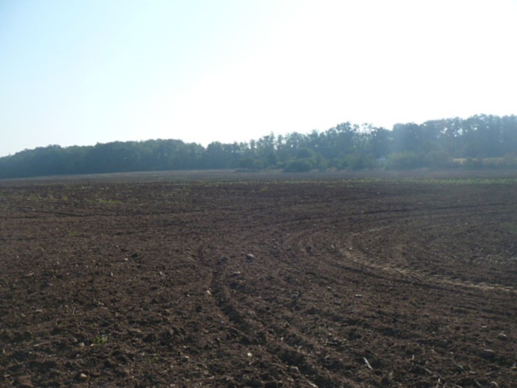 Prodej pozemku, 55 948 m² (3 z 3)