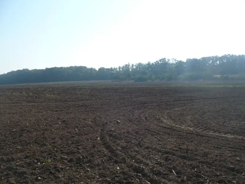 Prodej komerčního pozemku 55948 m², Veltrusy – náhled fotky 3