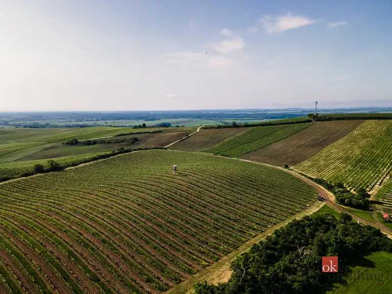 Prodej pozemku 256256 m², Zaječí – náhled fotky 2