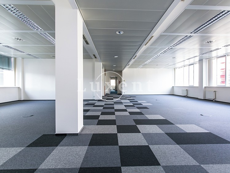 Pronájem komerčního prostoru, 393 m² (10 z 23)