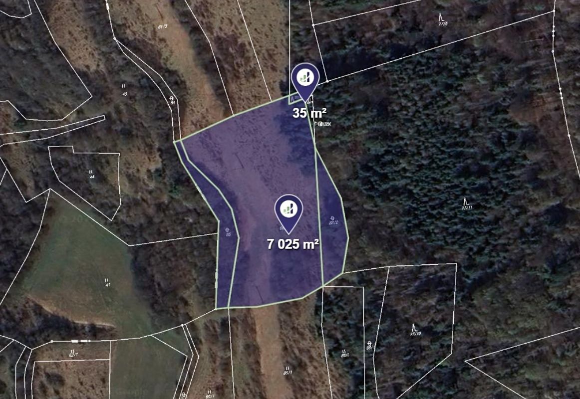 Prodej louky 7060 m², Stvolová – fotka 1 z 3