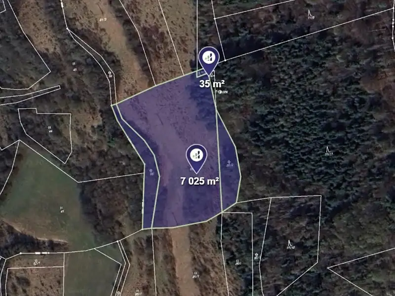 Prodej louky 7060 m², Stvolová – náhled fotky 1