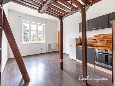 Pronájem bytu 1+kk 25 m²