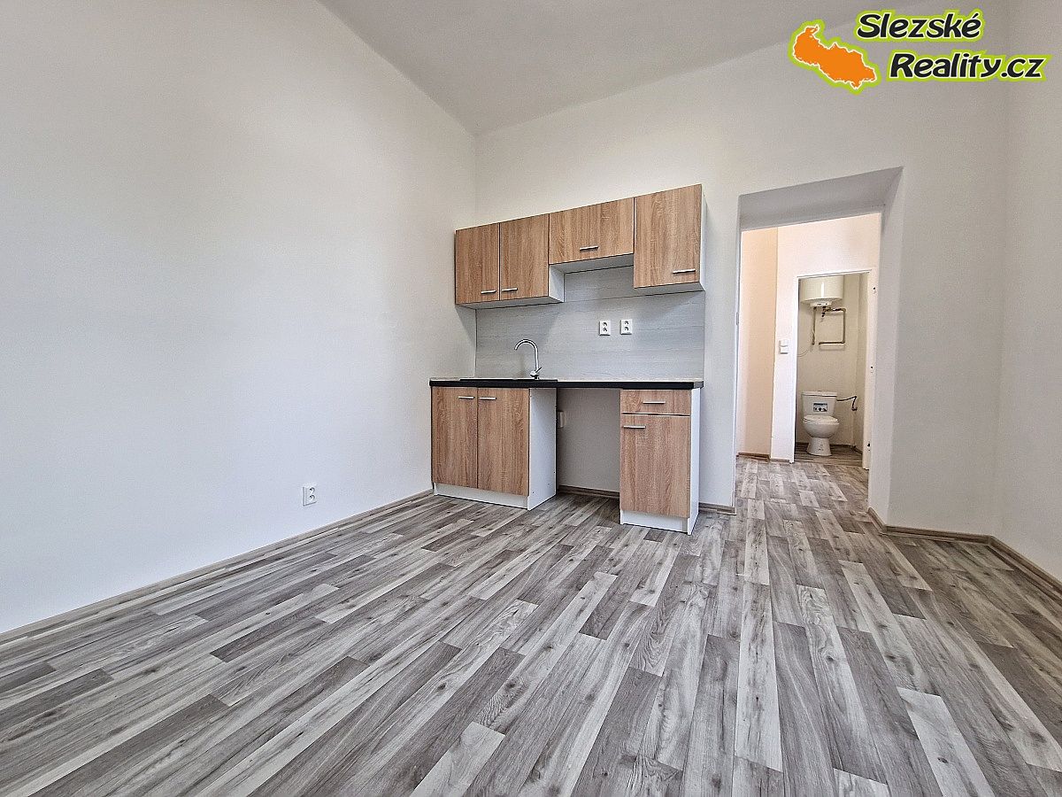 Pronájem bytu 1+1 39 m² – fotografie 3