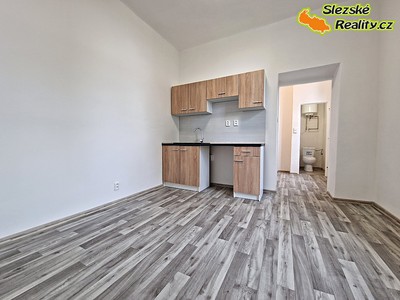Pronájem bytu 1+1, 39 m² (3 z 17)