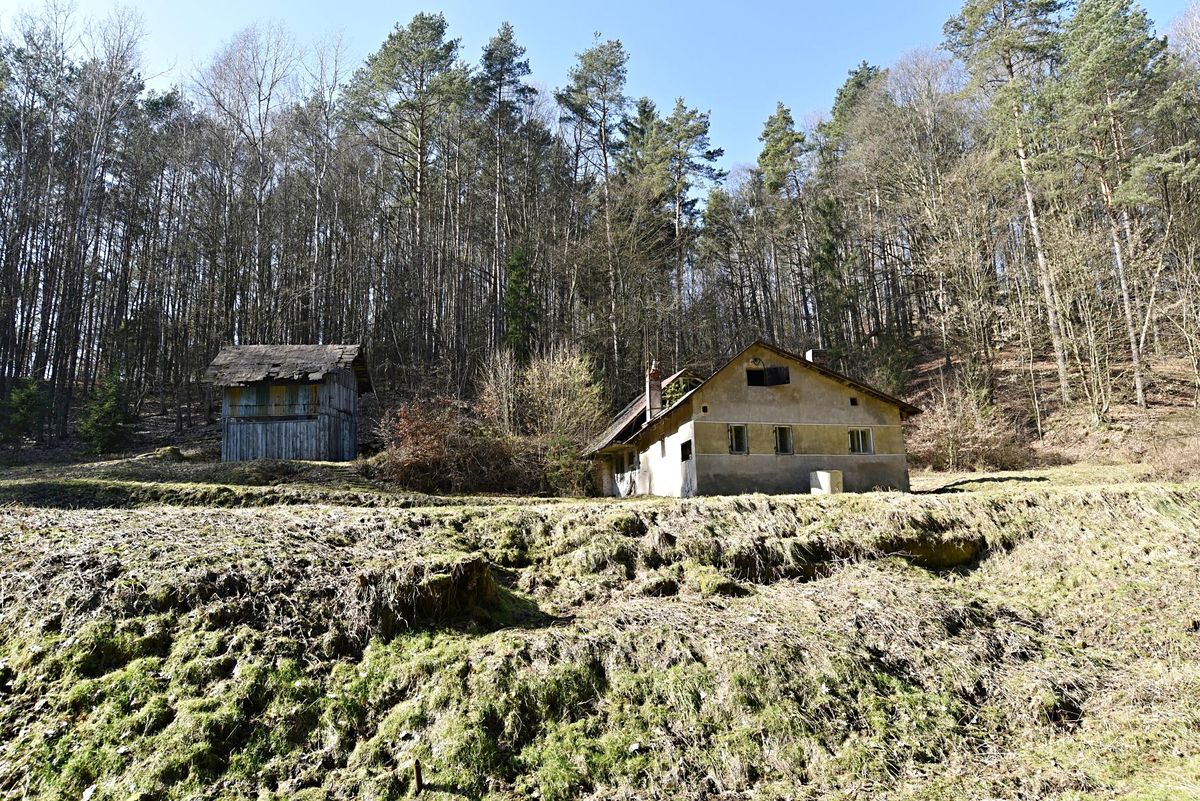 Prodej stavebního pozemku 3659 m² – fotografie 5